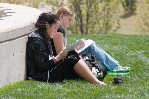 Two students sitting reading outside on grass.